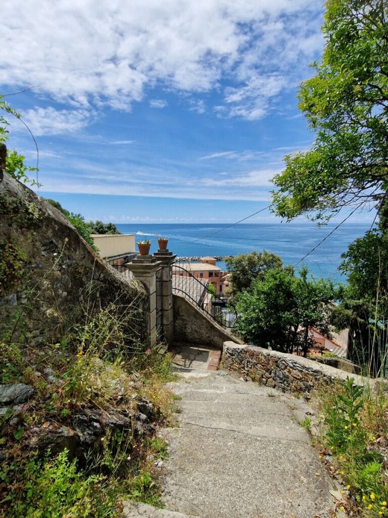 Levanto - Kohti avaraa maailmaa