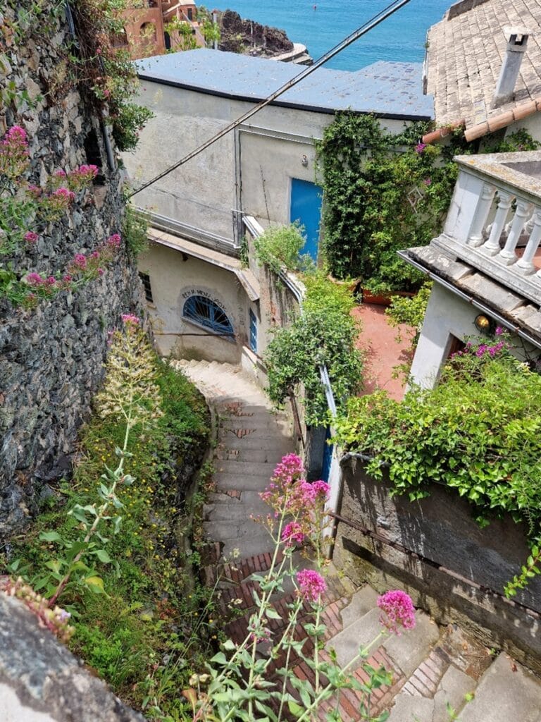 Levanto - Kohti avaraa maailmaa