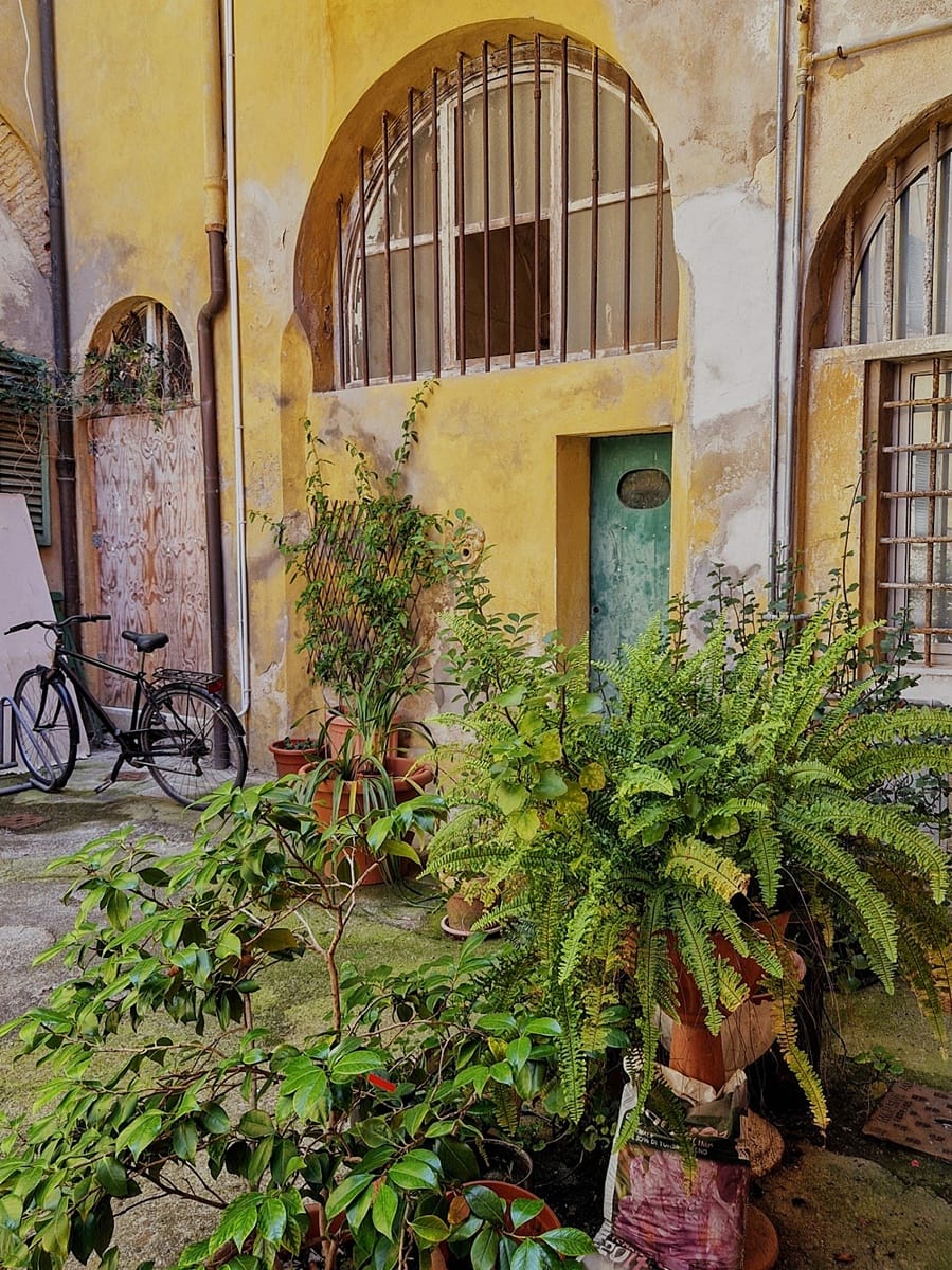 Maioliche Pisa - Kohti avaraa maailmaa