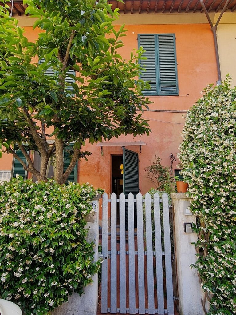 Maioliche Pisa - Kohti avaraa maailmaa