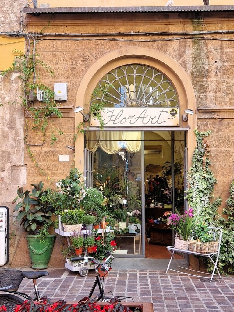 Pisa - Kohti avaraa maailmaa