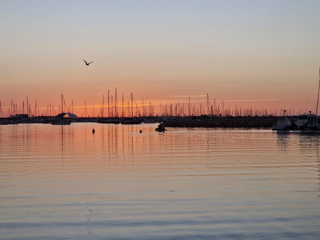 Torrevieja - Kohti avaraa maailmaa