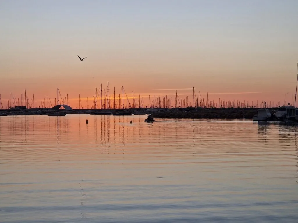 Vuoden 2025 matkat ja kustannukset sekä suunnitelma vuodelle 2026