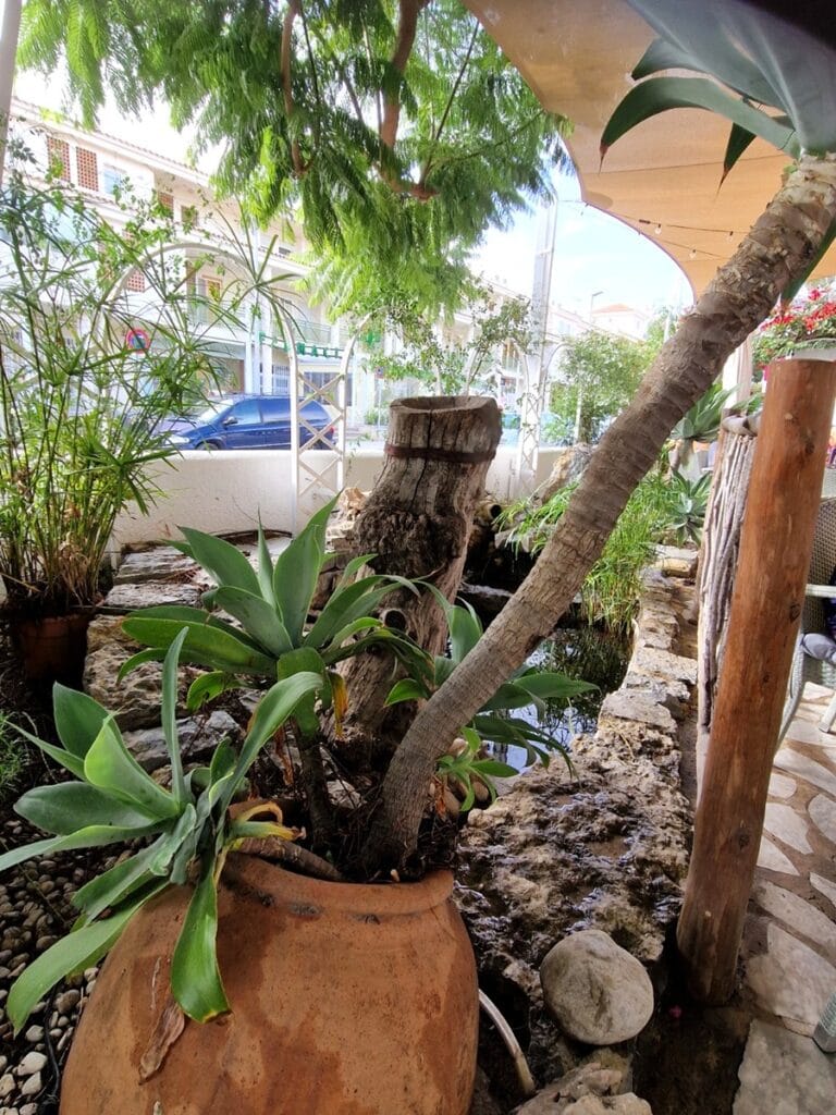 Ca Toni Altea la Vella - Kohti avaraa maailmaa