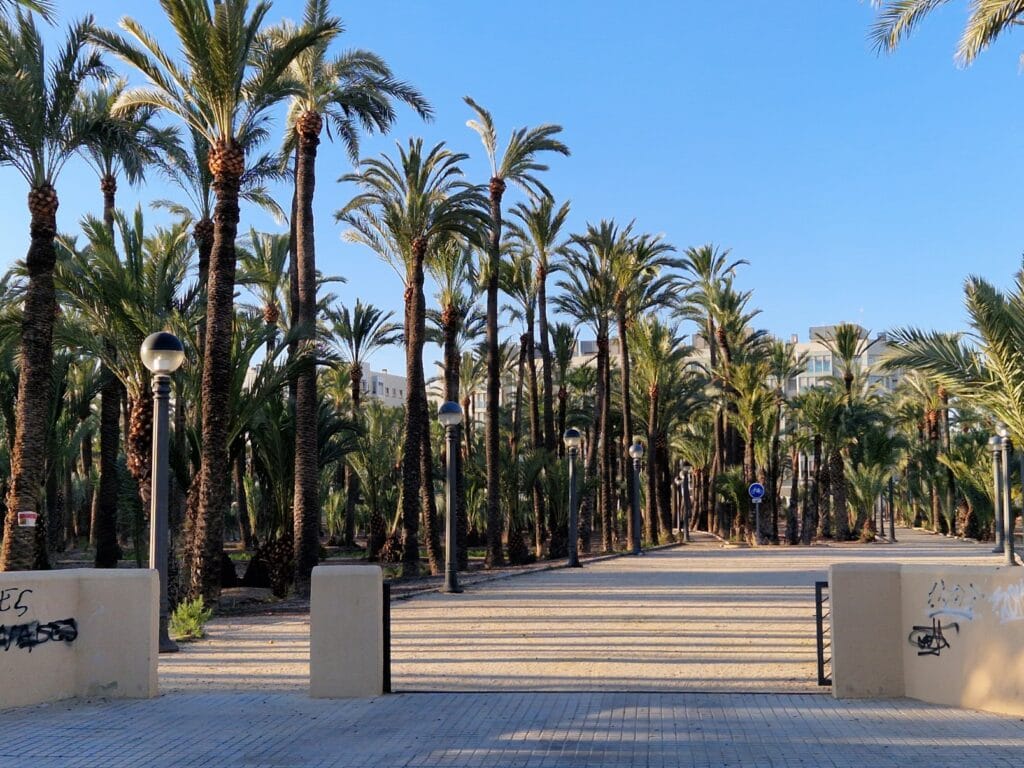 Elche - Kohti avaraa maailmaa