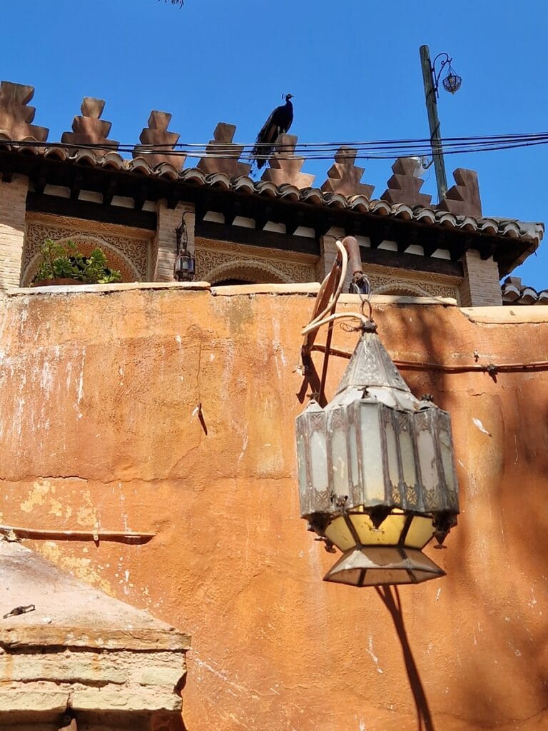 Teteria Carmen - Kohti avaraa maailmaa