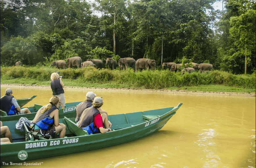 Venesafari Borneolla - Kohti avaraa maailmaa