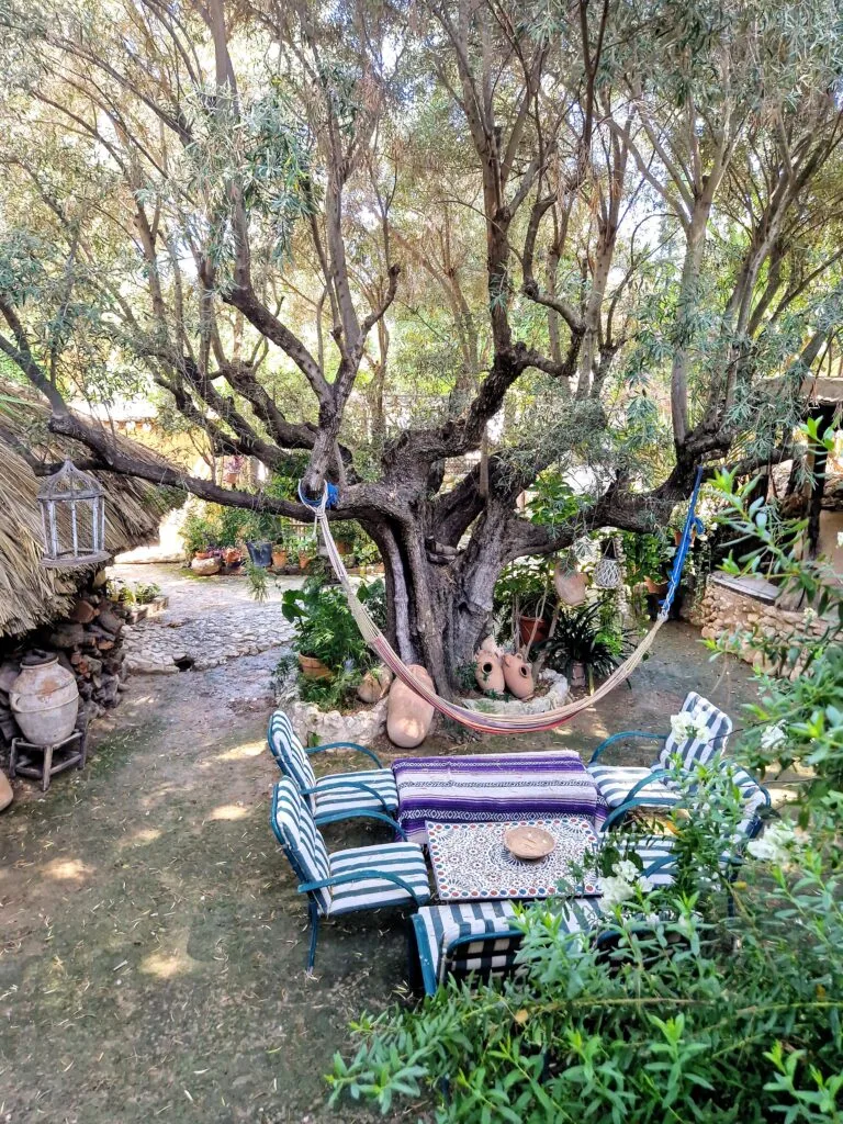 Teteria Carmen - Kohti avaraa maailmaa