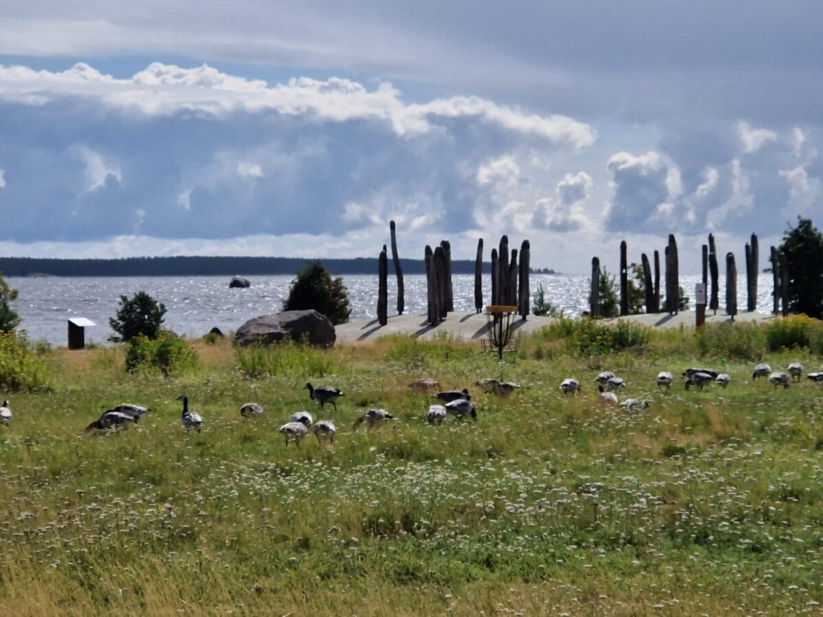 Kotka - Kohti avaraa maailmaa