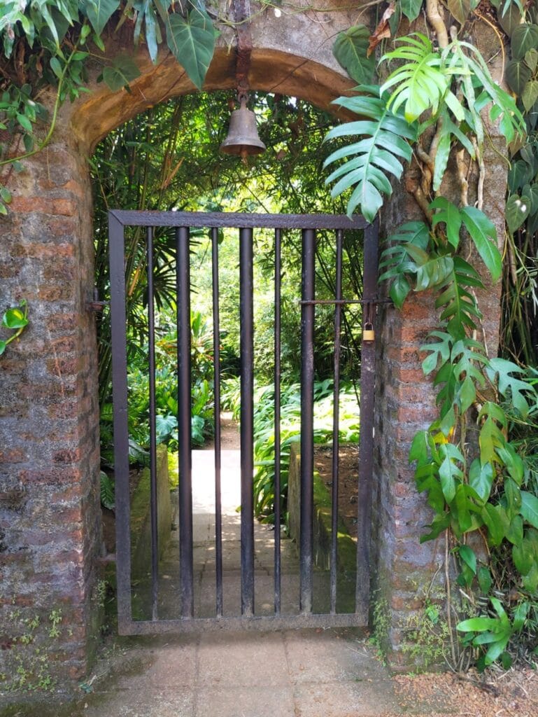 Brief Garden - Kohti avaraa maailmaa