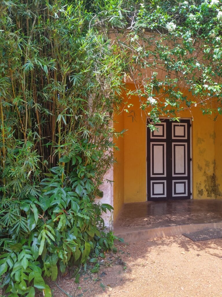 Brief Garden - Kohti avaraa maailmaa