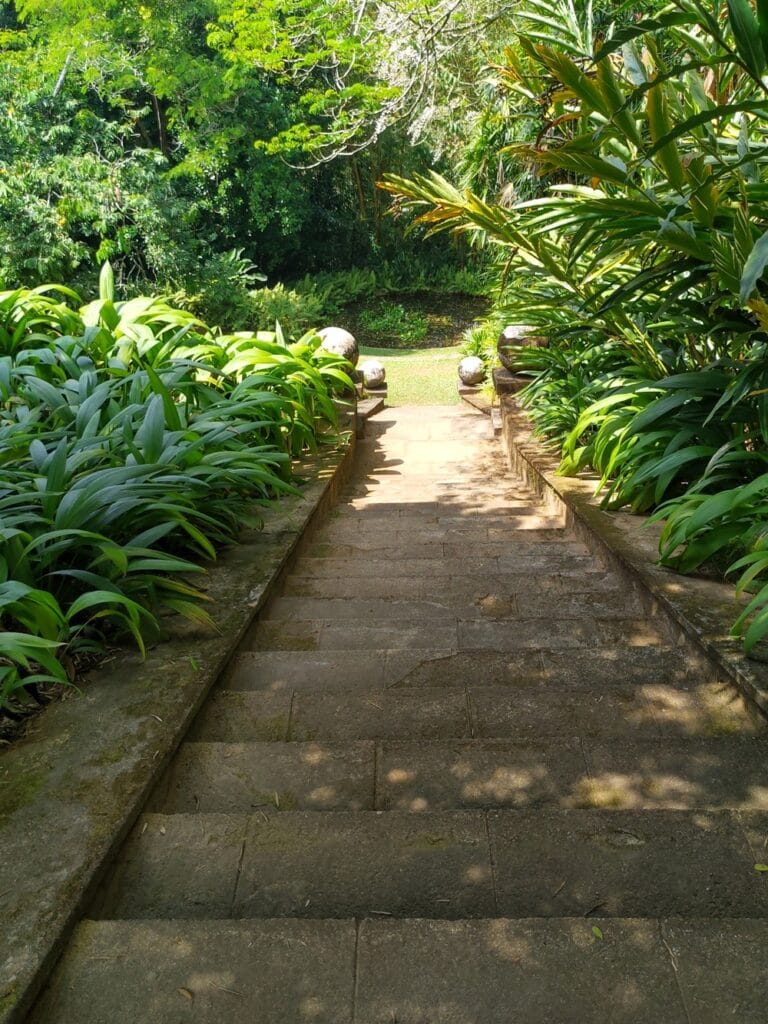 Brief Garden - Kohti avaraa maailmaa