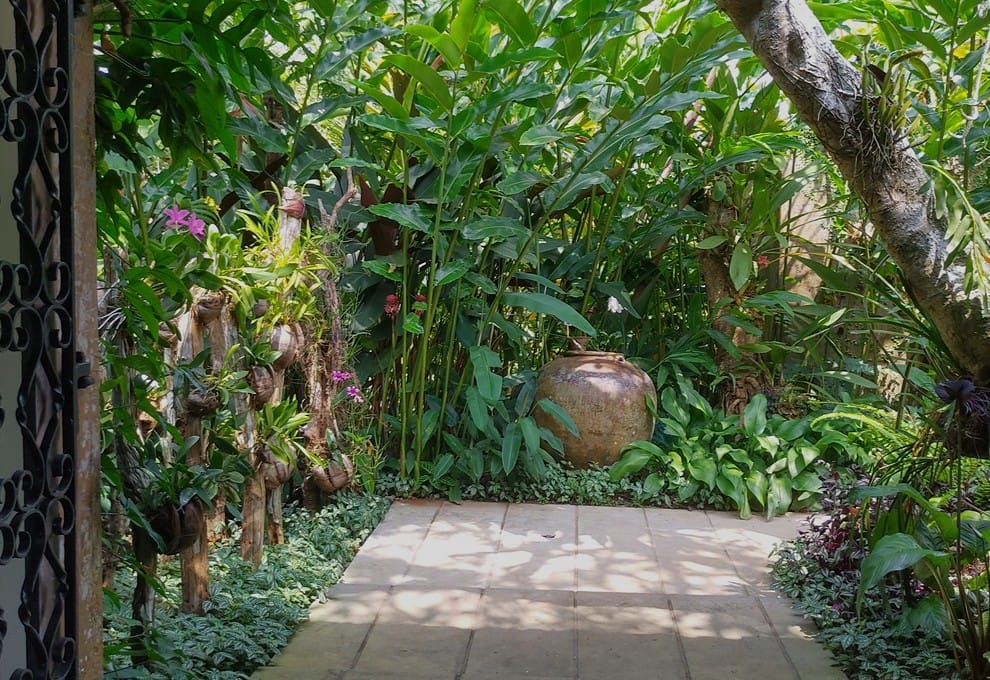 Brief Garden - Kohti avaraa maailmaa