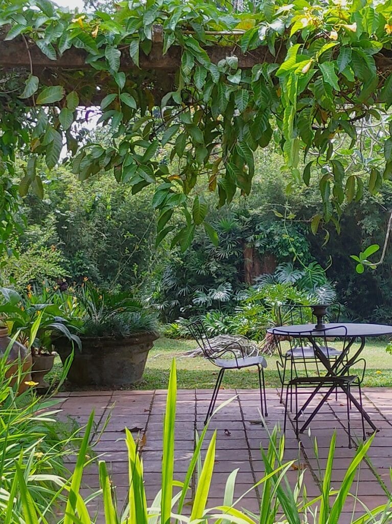 Brief Garden - Kohti avaraa maailmaa