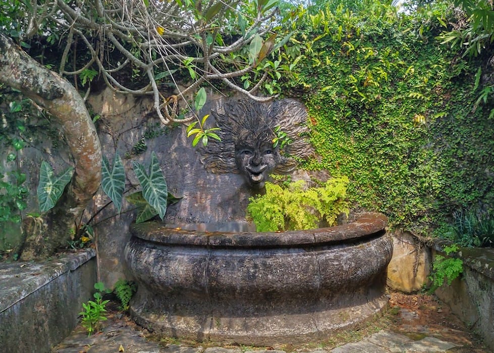 Brief Garden - Kohti avaraa maailmaa