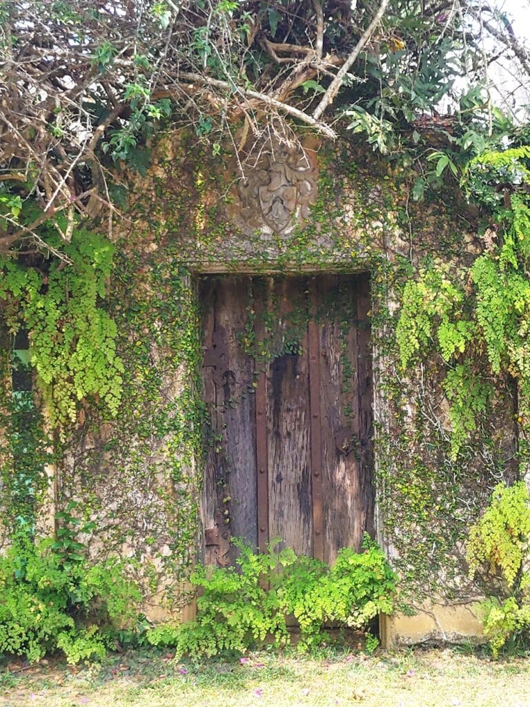 Brief Garden - Kohti avaraa maailmaa