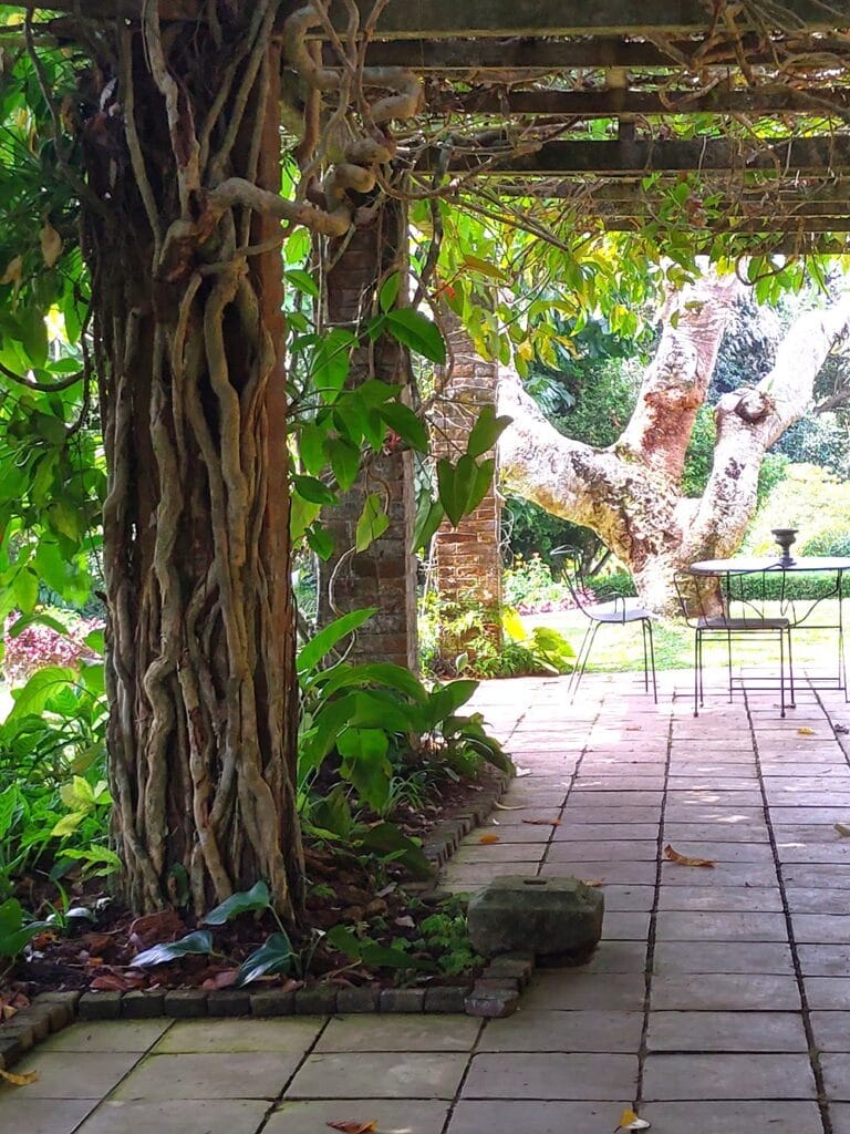 Brief Garden - Kohti avaraa maailmaa