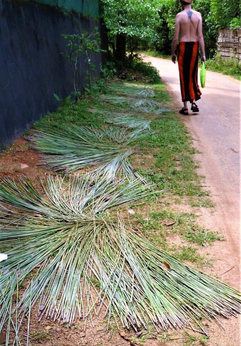 Lunuganga - Kohti avaraa maailmaa