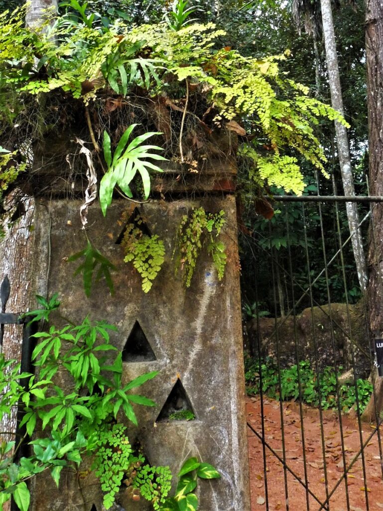 Lunuganga - Kohti avaraa maailmaa