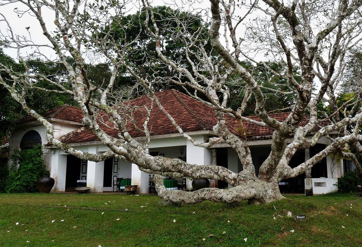 Lunuganga - Kohti avaraa maailmaa