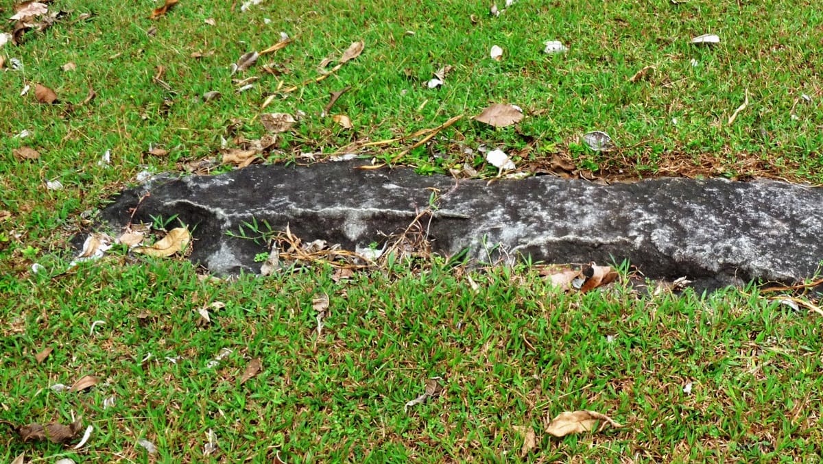 Lunuganga - Kohti avaraa maailmaa