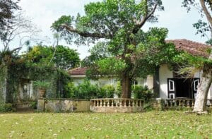 Lunuganga – Geoffrey Bawan puutarhaparatiisissa Sri Lankassa