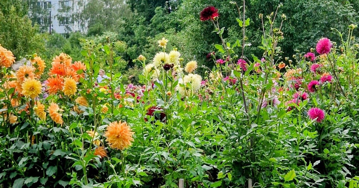 Riian kasvitieteellinen puutarha - Koht avaraa maailmaa