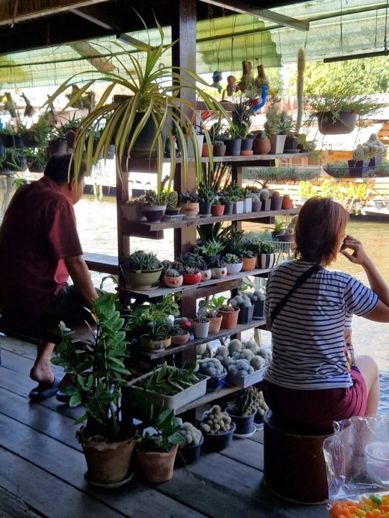 Chao Phraya - Kohti avaraa maailmaa