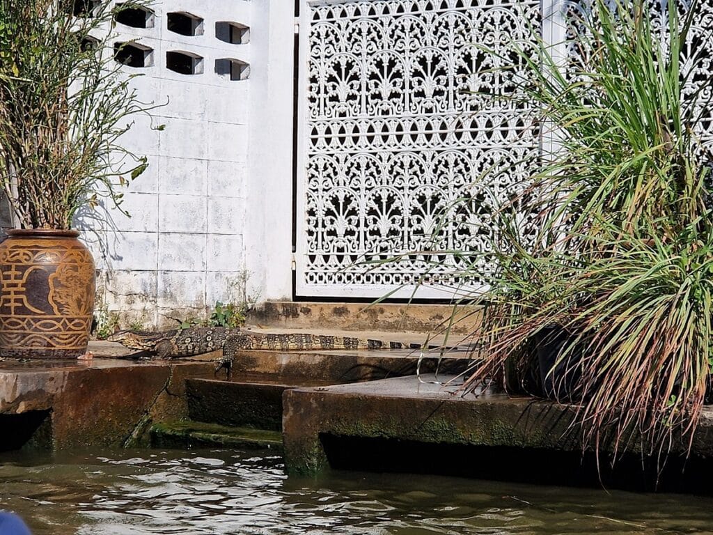 Chao Phraya - Kohti avaraa maailmaa