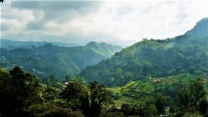 Neljä vuotta Kohti avaraa maailmaa