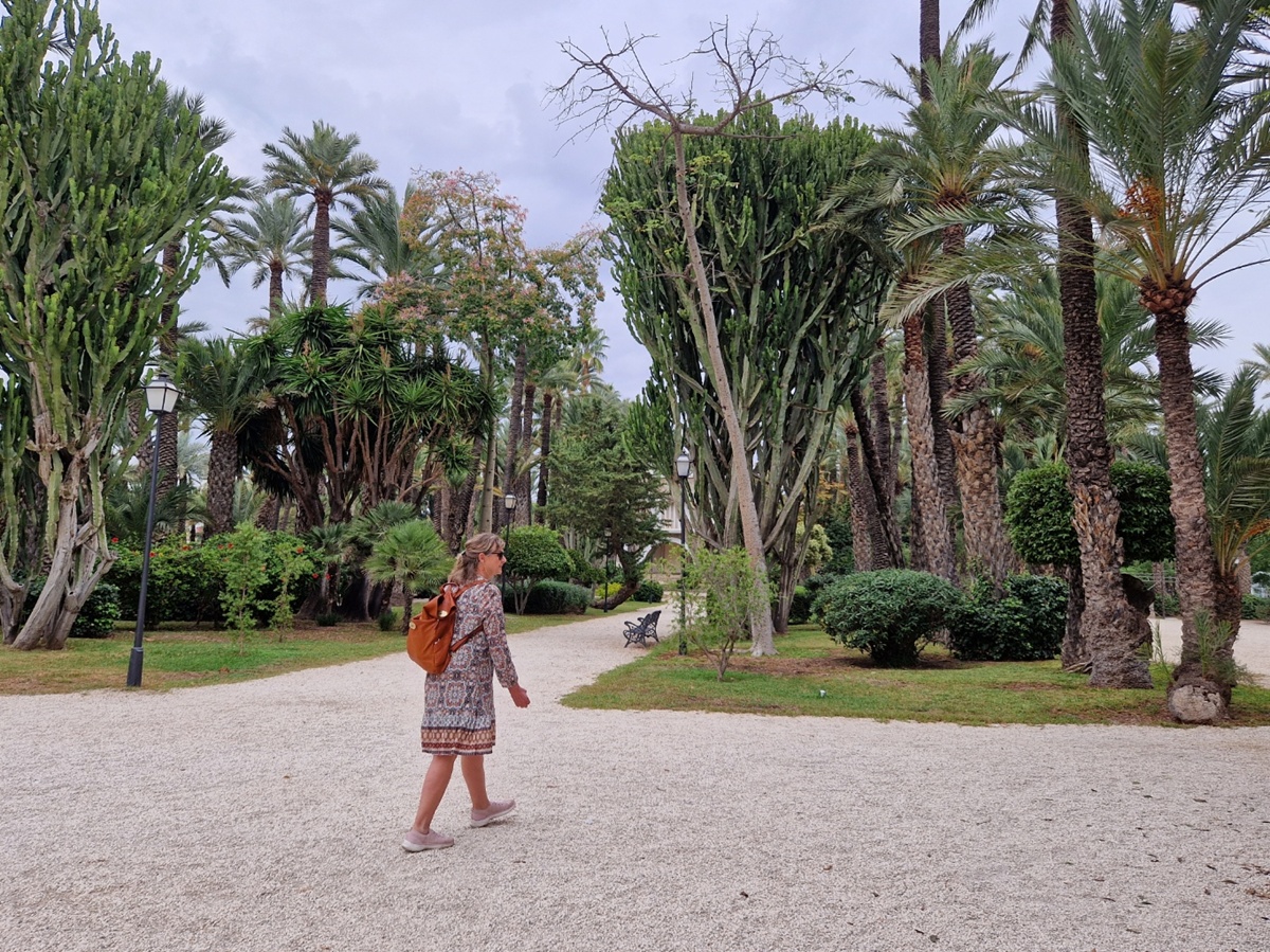 Palmeral de Elche - Kohti avaraa maailmaa