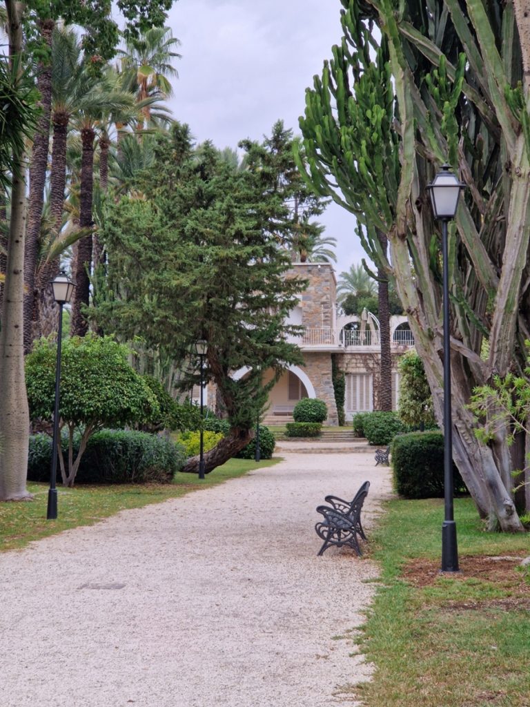 Palmeral de Elche - Kohti avaraa maailmaa