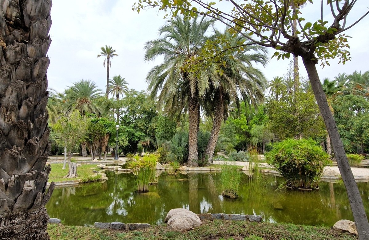 Palmeral de Elche - Kohti avaraa maailmaa
