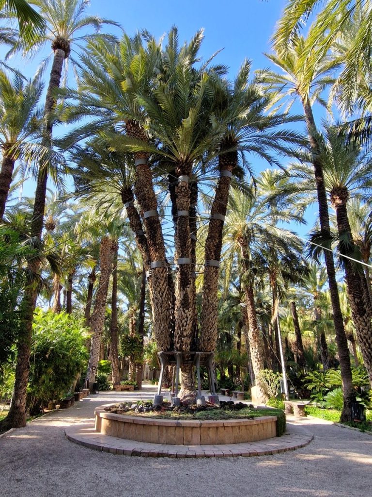 Palmera Imperial - Kohti avaraa maailmaa