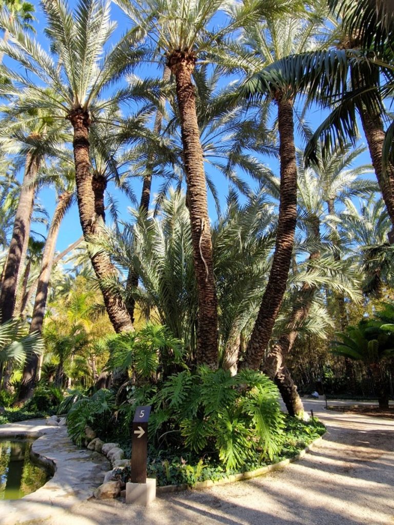 Huerto del Cura - Kohti avaraa maailmaa