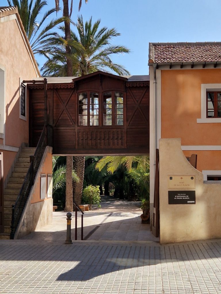 Museo del Palmeral Elche - Kohti avaraa maailmaa