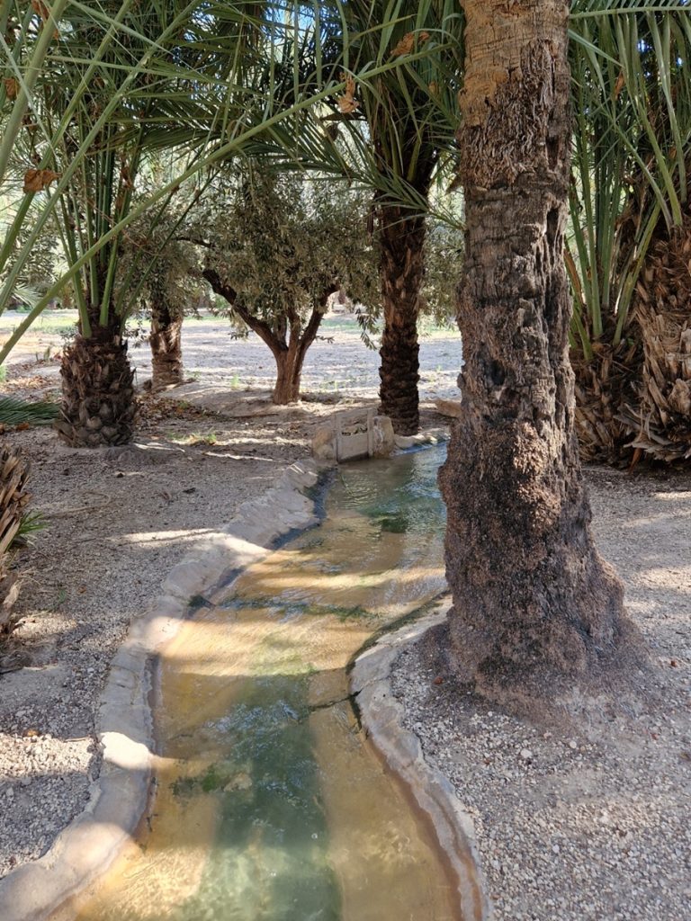 Museo del Palmeral Elche - Kohti avaraa maailmaa