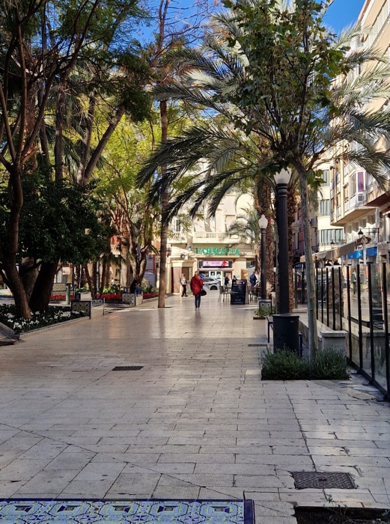 Elche - Kohti avaraa maailmaa