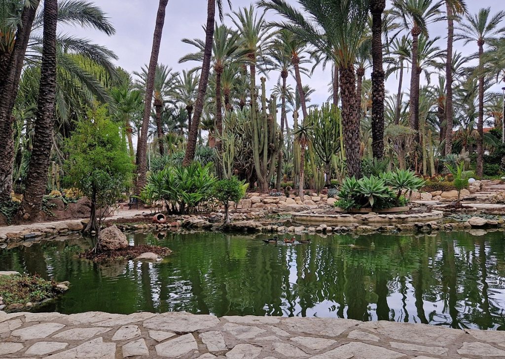 Elche – mitä nähdä palmujen kaupungissa Costa Blancalla