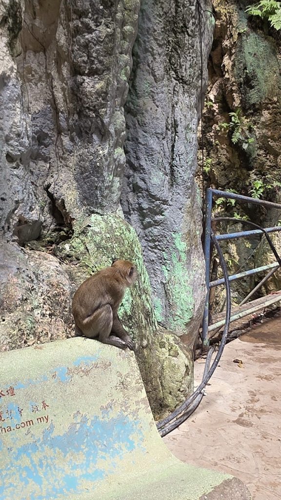 Batu Caves - Kohti avaraa maailmaa