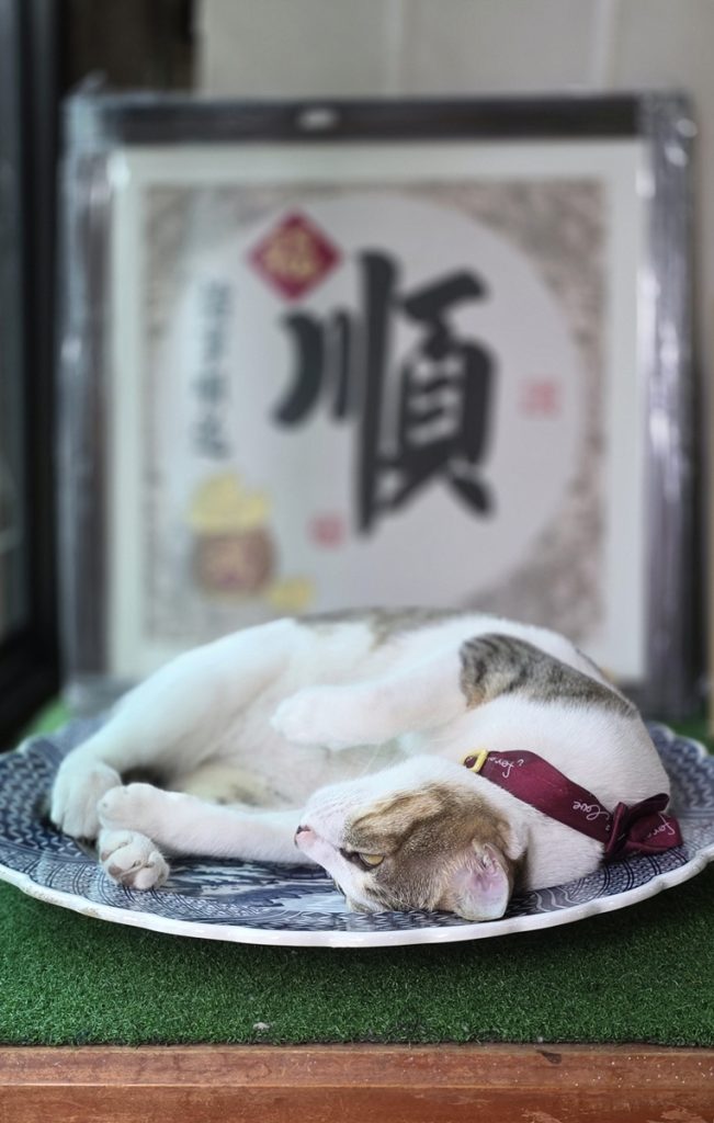 Malakka - Kohti avaraa maailmaa