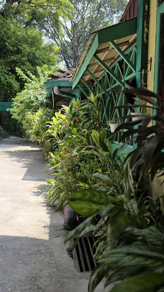 Perhospuisto Perdana Botanical Garden - Kohti avaraa maailmaa