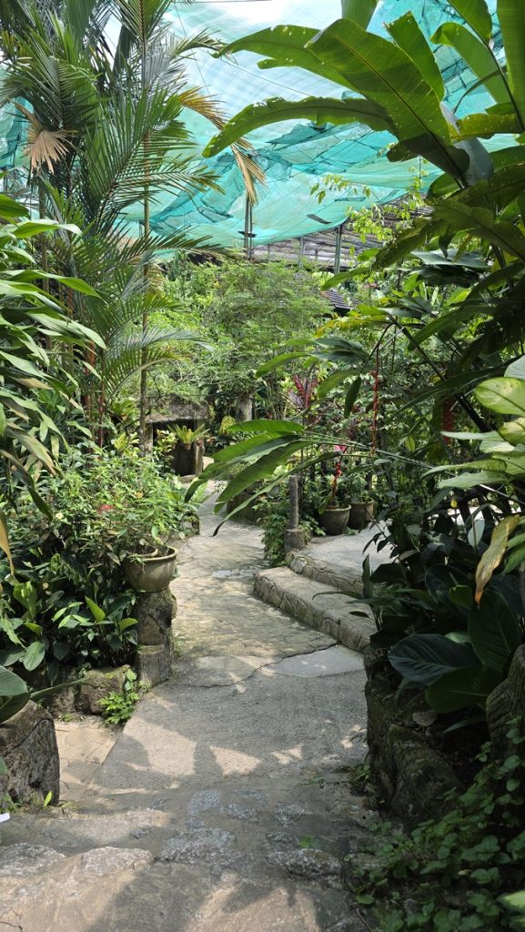 Perhospuisto Perdana Botanical Garden - Kohti avaraa maailmaa