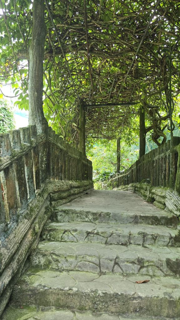 Perhospuisto Perdana Botanical Garden - Kohti avaraa maailmaa