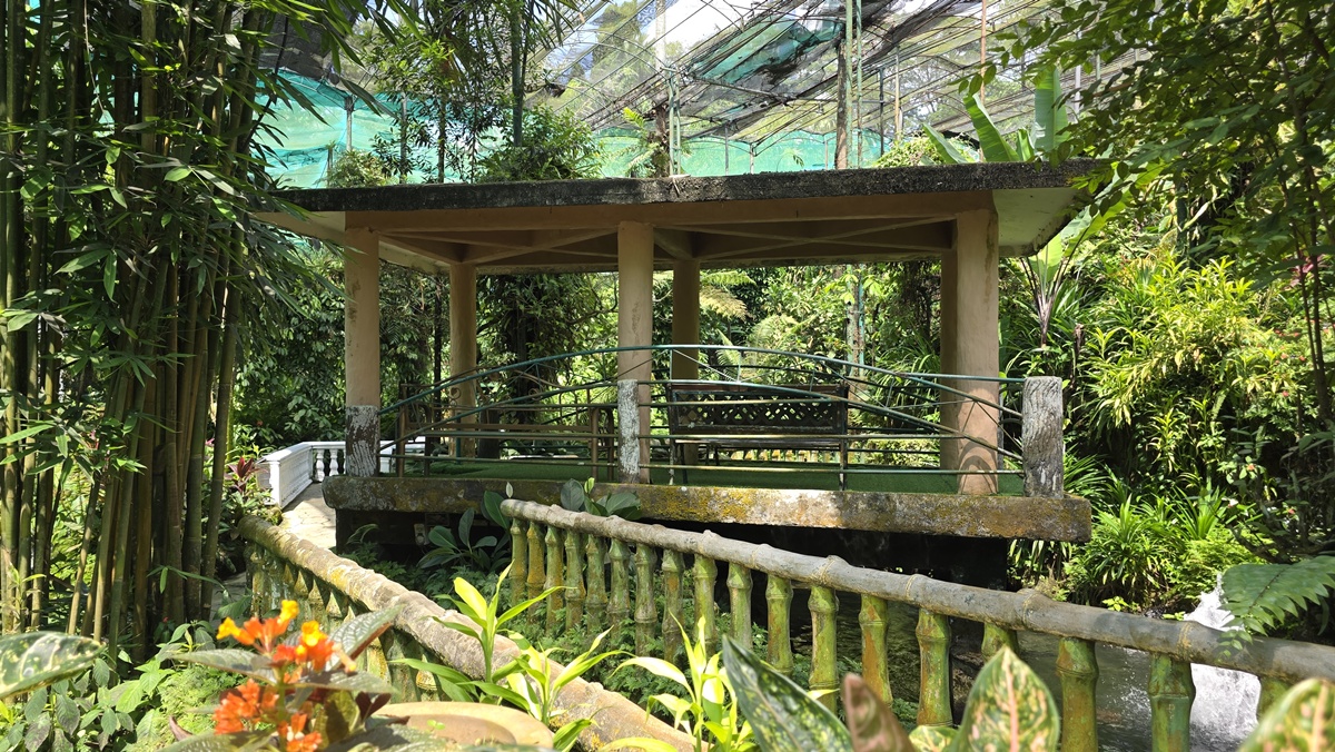 Perhospuisto Perdana Botanical Garden - Kohti avaraa maailmaa