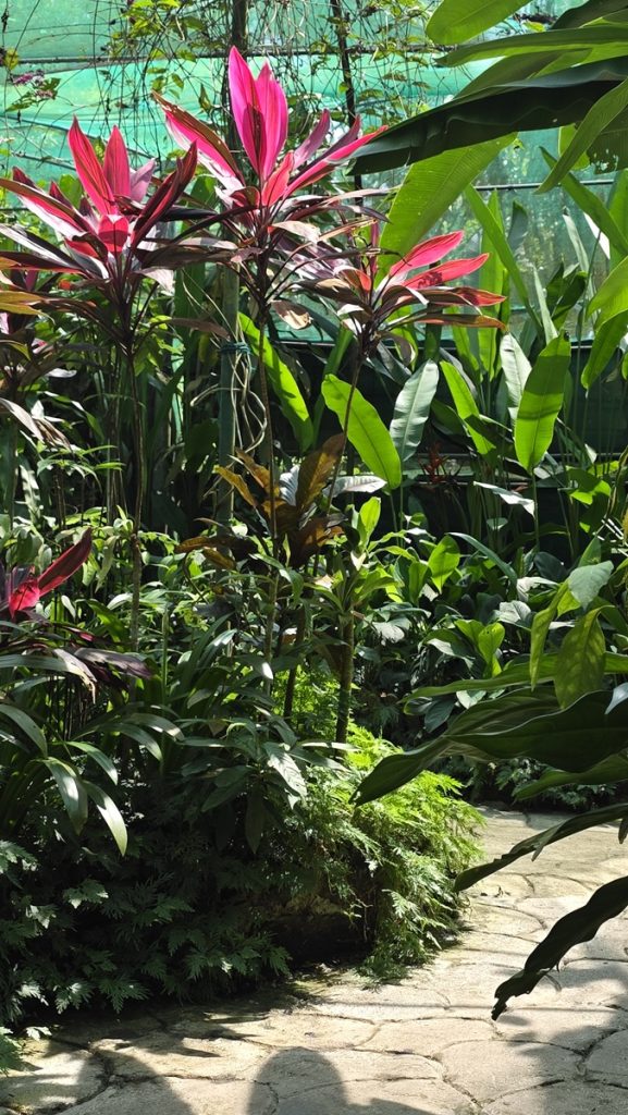 Perhospuisto Perdana Botanical Garden - Kohti avaraa maailmaa