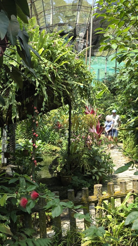 Perhospuisto Perdana Botanical Garden - Kohti avaraa maailmaa