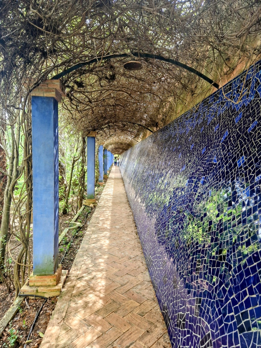 Jardín de l'Albarda - Kohti avaraa maailmaa