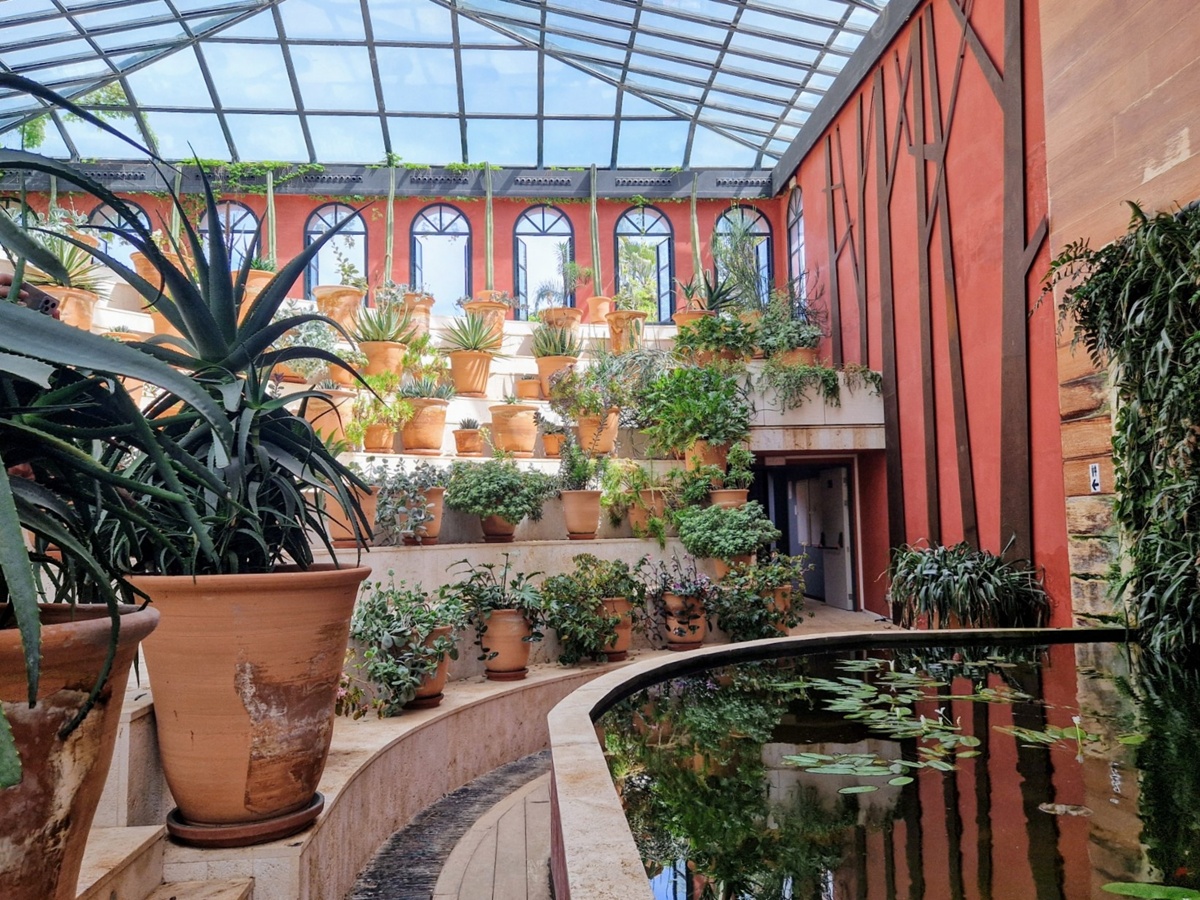Jardín de l'Albarda - Kohti avaraa maailmaa