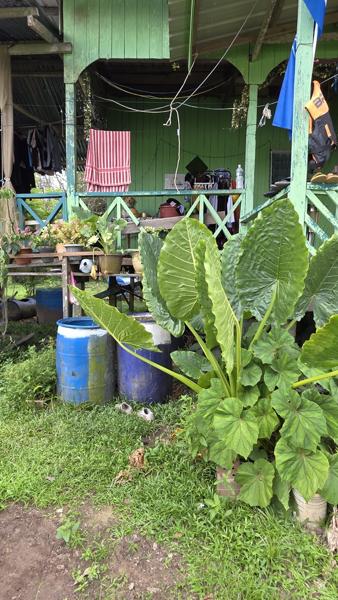 Bilit Sandakan - Kohti avaraa maailmaa